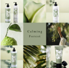 Calming Forest Hand & Body Lotion | Mood By MOR