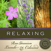 Relaxing Artisan Soy Candle  | BUCKLEY & PHILLIPS