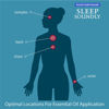 Sleep Soundly Pulse Point Roller | BUCKLEY & PHILLIPS