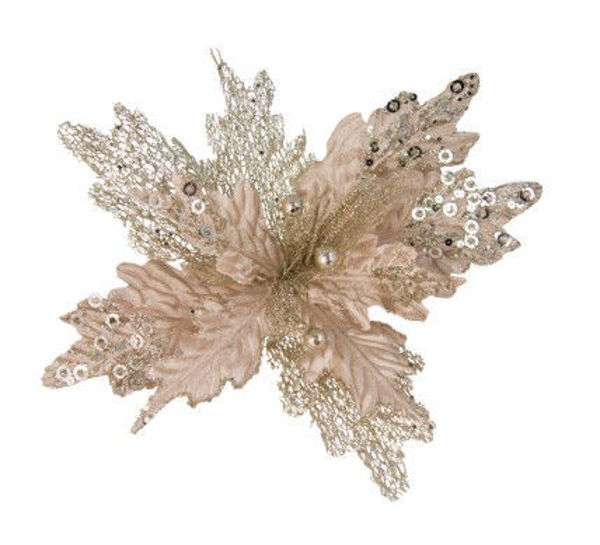 CLIP ON PONSETTIA - CHMPGNE TWOTONE GLITTER | Christmas