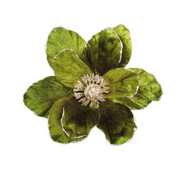 CLIP ON VELVET MAGNOLIA - SAGE | Christmas