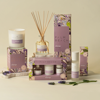 sleep-fragrance-diffuser-palm-beach