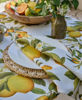 Citrus Grove - Napkins - Set 4  Madris Link