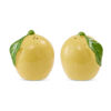 Lemons Salt & Pepper Shaker Set (2)  Madras Link